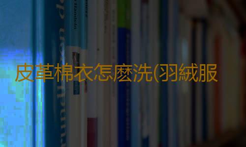 皮革棉衣怎麽洗(羽絨服洗1次少穿3年用它,免水洗清潔,一噴一擦就幹淨)