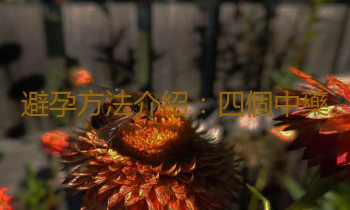 避孕方法介紹:四個中藥避孕偏方